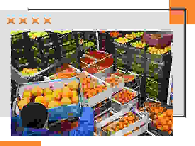 Перевозка скоропортящихся продуктов в Нальчике